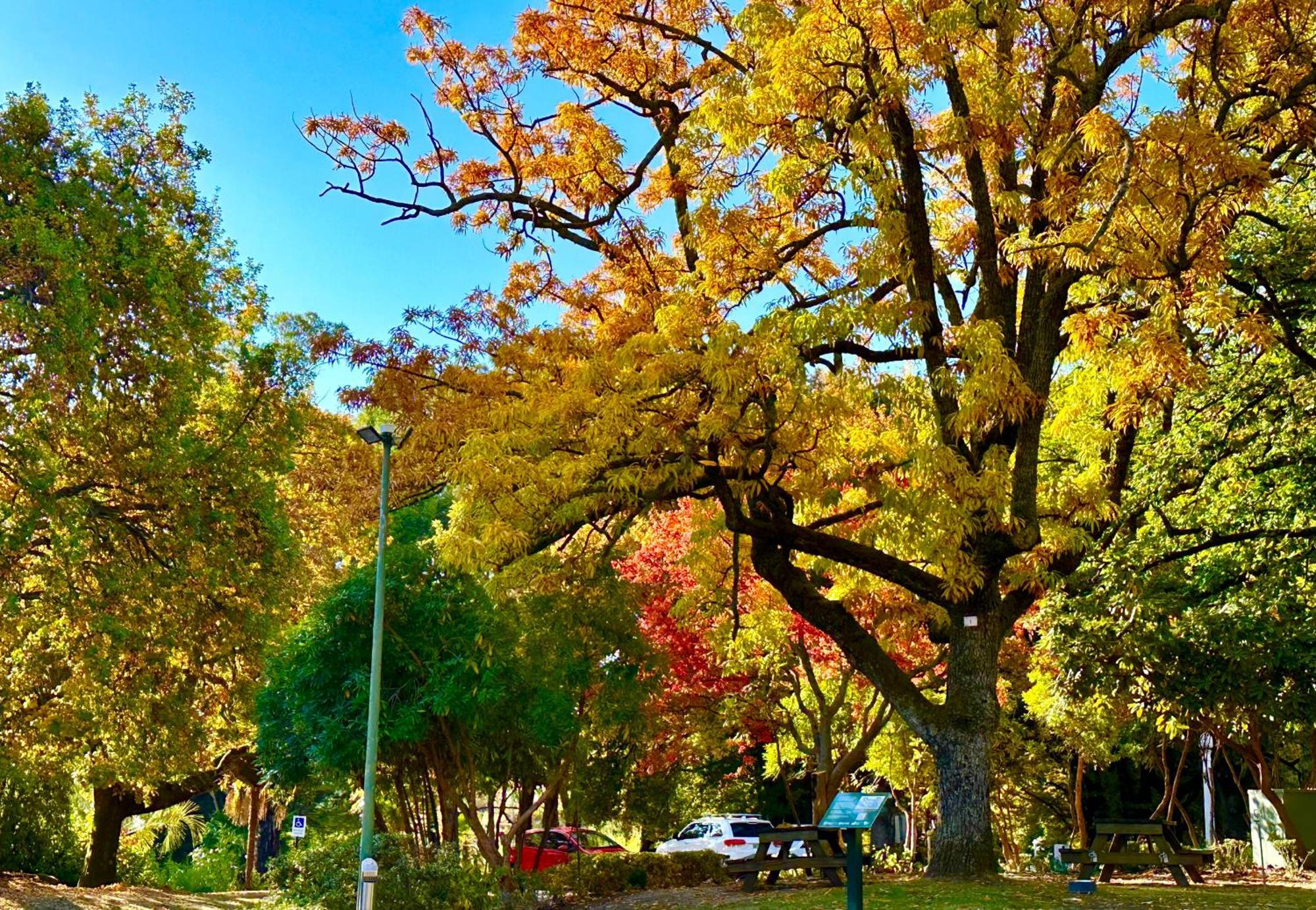 The Grand Oaks Resort Beechworth Ngoại thất bức ảnh