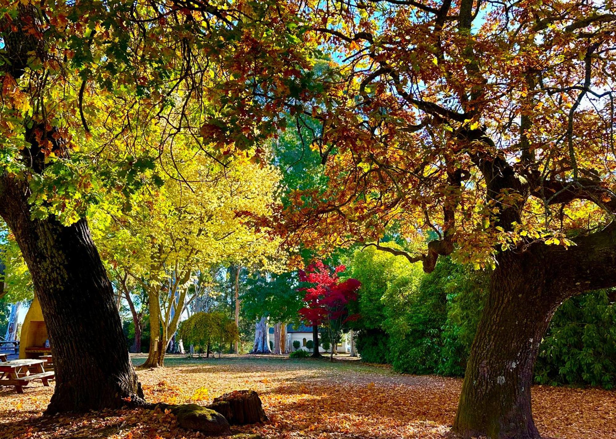 The Grand Oaks Resort Beechworth Ngoại thất bức ảnh